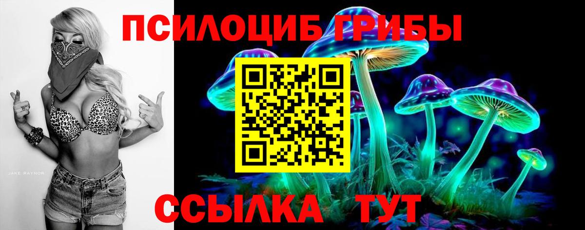 Псилоцибиновые грибы мухоморы  Вход с VPN  Мурино 